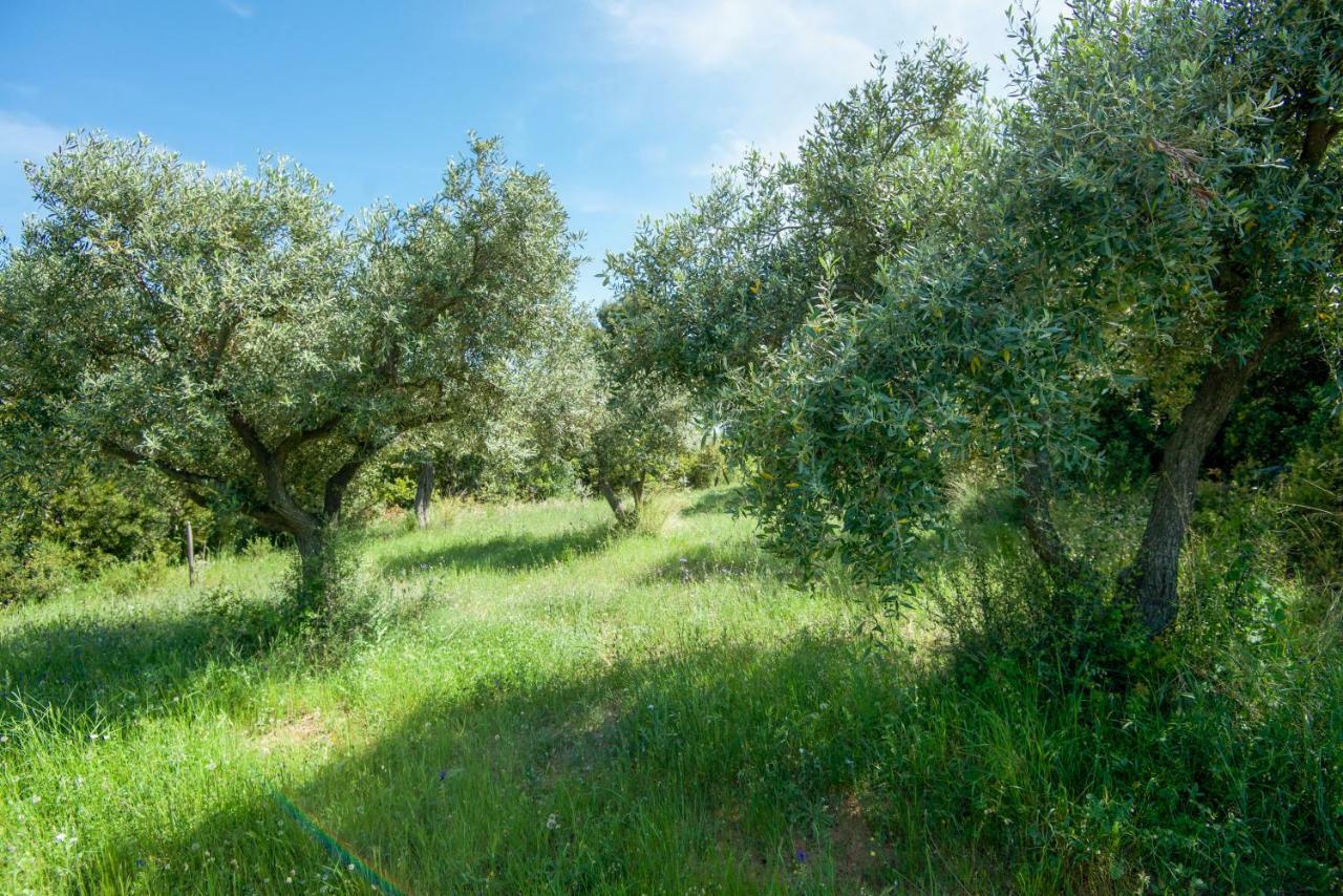 Avaton Farm Villa Ouranoupoli Eksteriør bilde